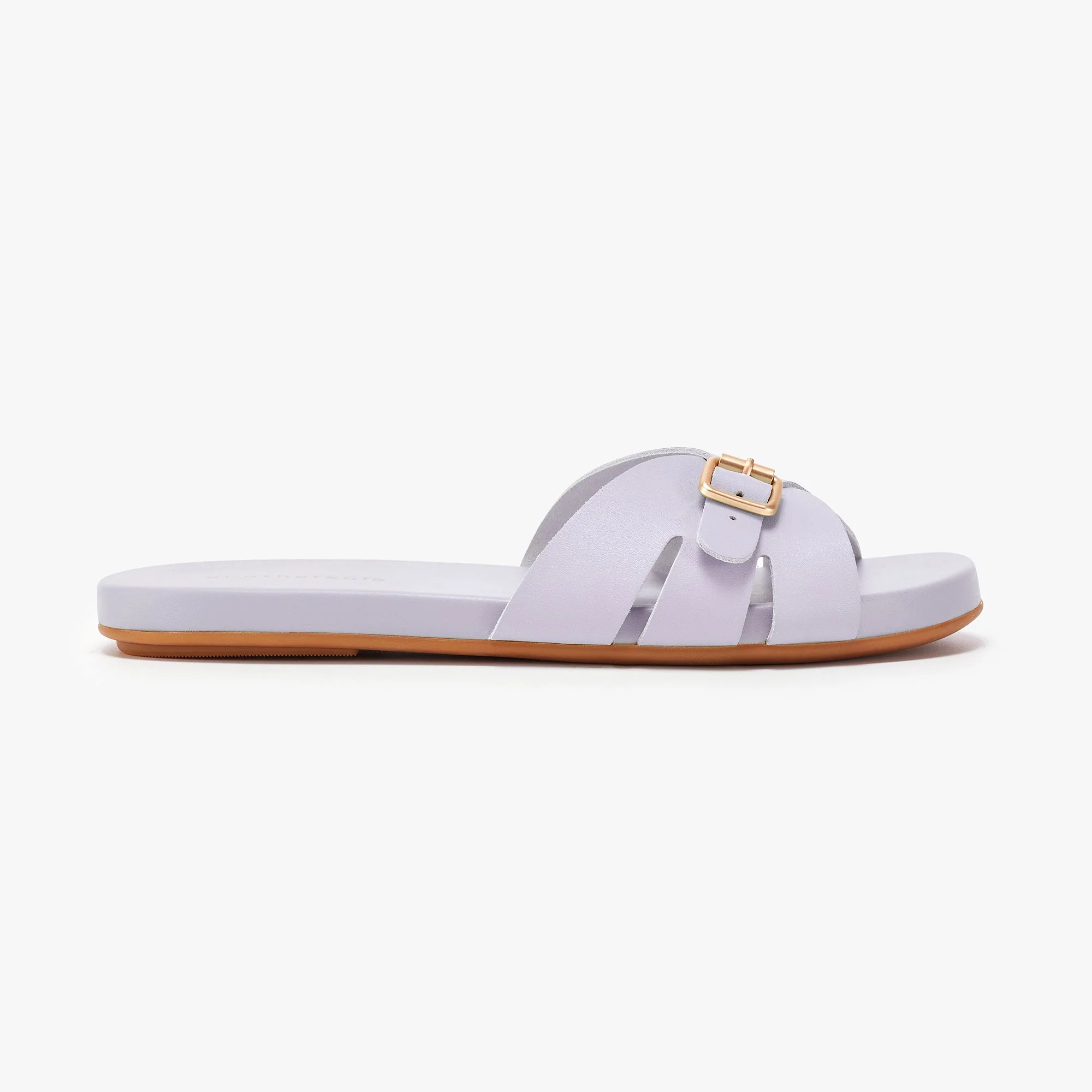 Sunday Slides - Lavender